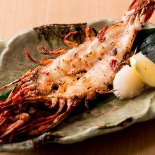 Salted and grilled prawn