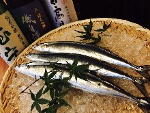 Salted and grilled saury