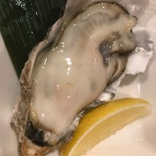 Raw oyster