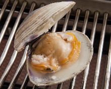 Grilled live hard clams with the shell