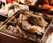 Oysters Oysters