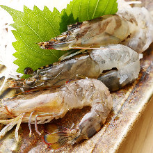 Live Japanese tiger prawn sashimi