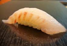 Madai(red seabream)