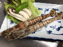 Salted and grilled Japanese tiger prawn