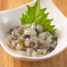 Wasabi octopus Wasabi octopus