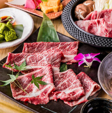 Beef sukiyaki