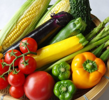 Grilled / sauteed vegetables