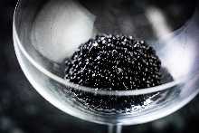 Caviar Frappe, Stella Garden Style