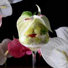 Anthurium Enthusiastic Melon
