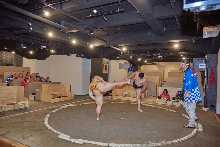 Entertainment Sumo Experience