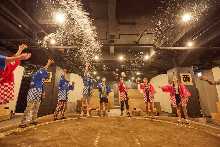 Sumo experience (general seats are selected by lottery)