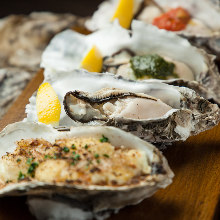 Oysters