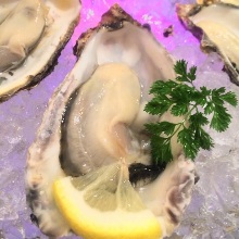 Raw oyster