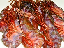 "Budo Ebi" (grape color shrimp)