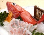 Kichiji rockfish sashimi