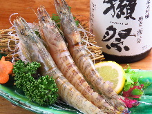 Live Japanese tiger prawn sashimi