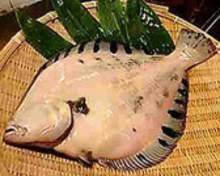 Flounder sugata-zukuri (sliced sashimi served maintaining the look of the whole fish)