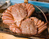 All-sort of Crab Dishes Course (Akagumi) <9 dishes> All-sort of Crab Dishes Course (Akagumi) <9 dishes>