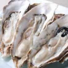 Oyster with shell