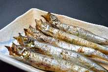 Shishamo smelt with roe