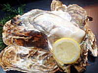 Raw oyster