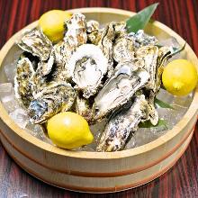 Oysters: raw or grilled