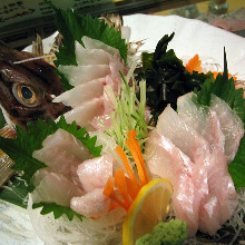 Sailfin poacher (sashimi)