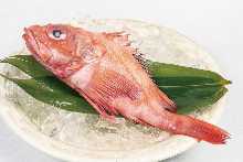 Kichiji rockfish (salt grilled or simmered)