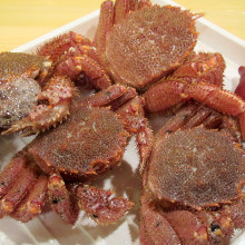Live crab sashimi