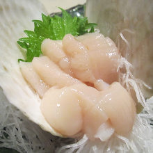 Scallop sashimi