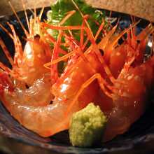 Botan shrimp sashimi