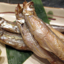 Seared shishamo smelt