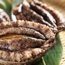 Abalone steak / grilled abalone