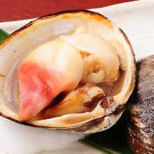 Grilled live sakhalin surf clams