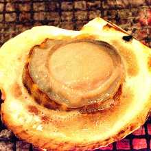 Grilled scallop