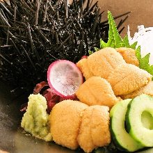 Raw sea urchin