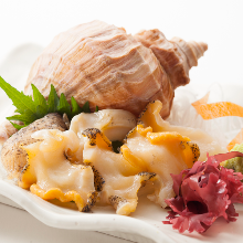 Whelk sashimi