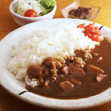 Curry with rice