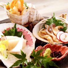 Assorted shellfish sashimi