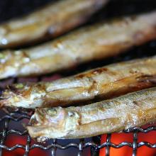 Shishamo smelt with roe