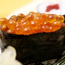 Ikura(salmon roe)