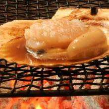 Grilled scallop