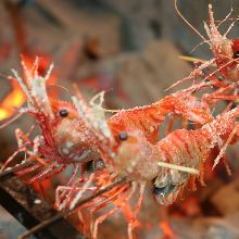 Charcoal grilled shrimp
