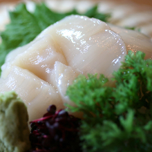 Scallop sashimi