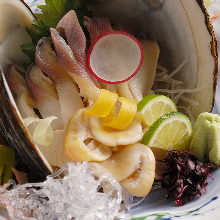 Sakhalin surf clam sashimi