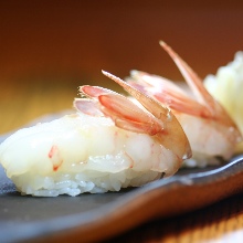 Botan shrimp
