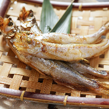 Seared shishamo smelt