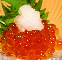 Ikura(salmon roe)