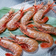 Salted and grilled botan shrimp