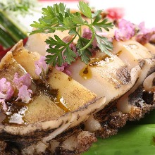 Abalone steak / grilled abalone
